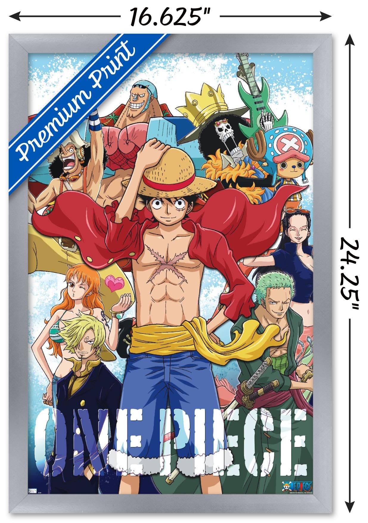 Amazon.com: One Piece - Crew Wall Poster, 22.4L